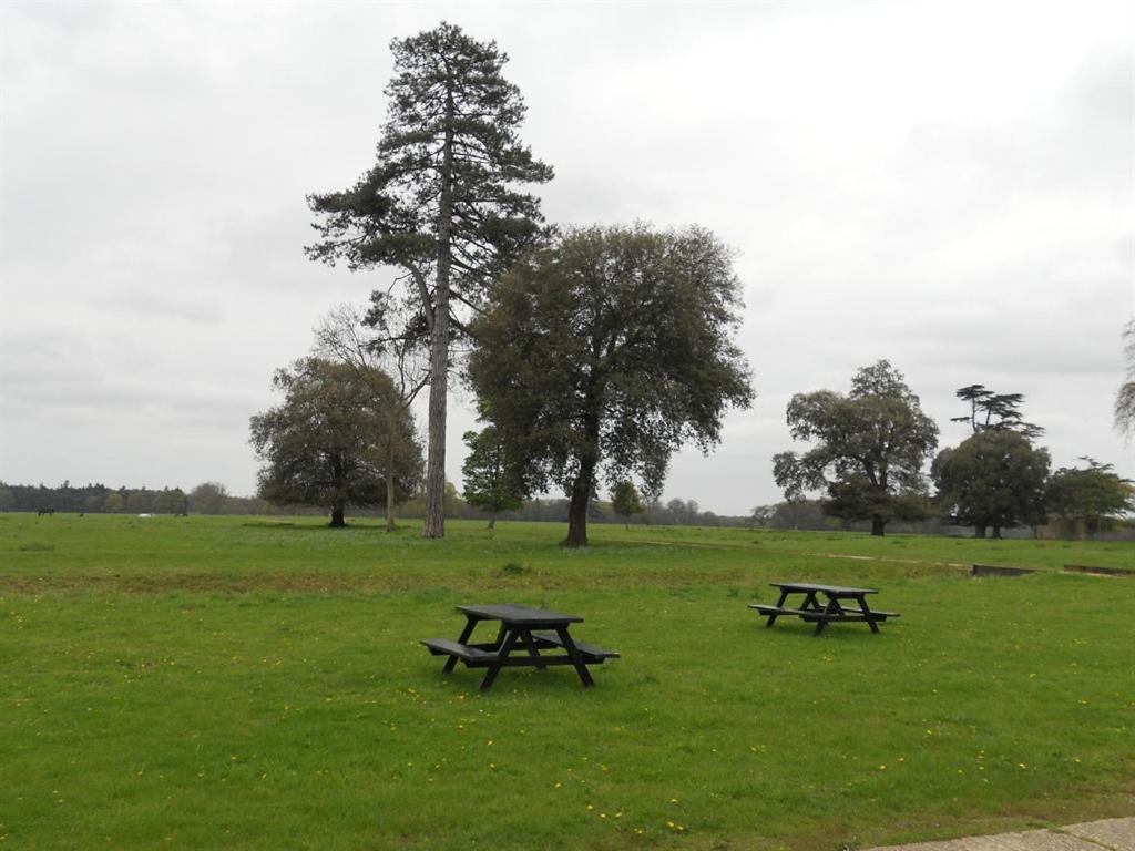 לינה וארוחת בוקר סאות'וולד The Stables At Henham Park מראה חיצוני תמונה